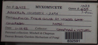 Image Associated With the Occurence